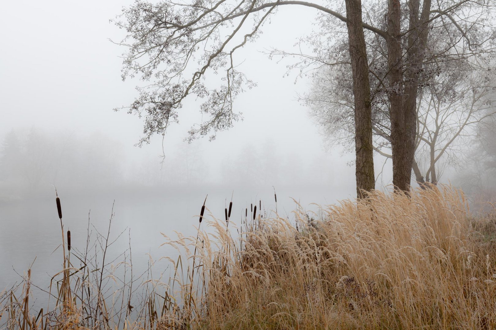 Zeit der Stille