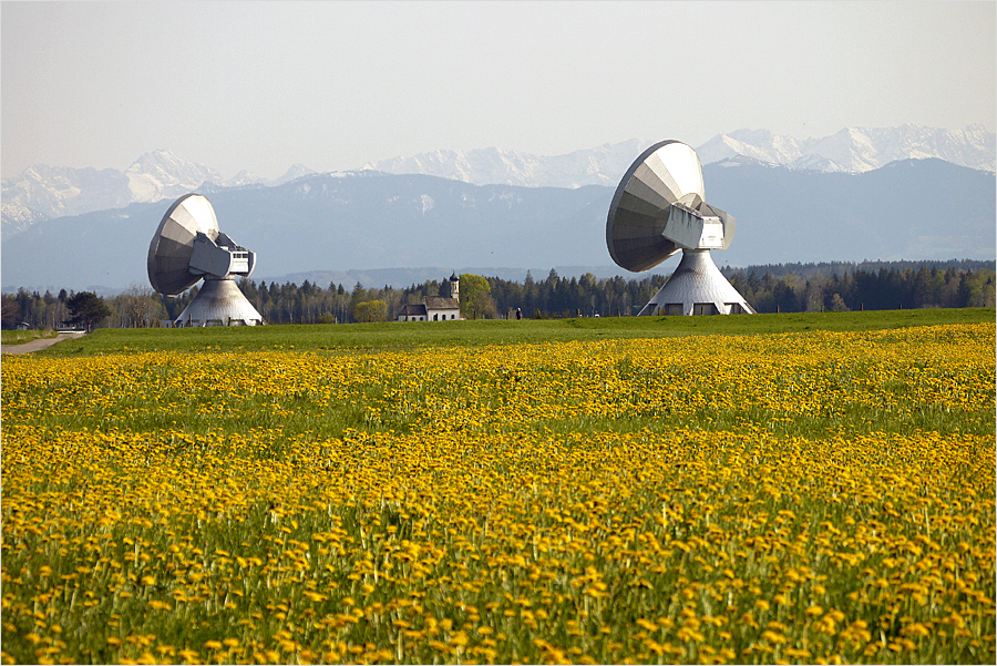 Zeit des Löwen-