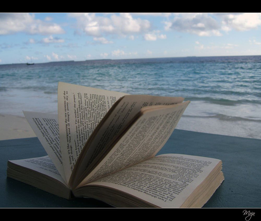 Zeit, ein gutes Buch zu lesen Foto & Bild | experimente ...