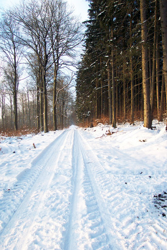 Zeit - endlose lange Winterzeit 2005 von Michael Günther