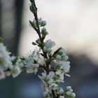 Zeit für den Frühling 