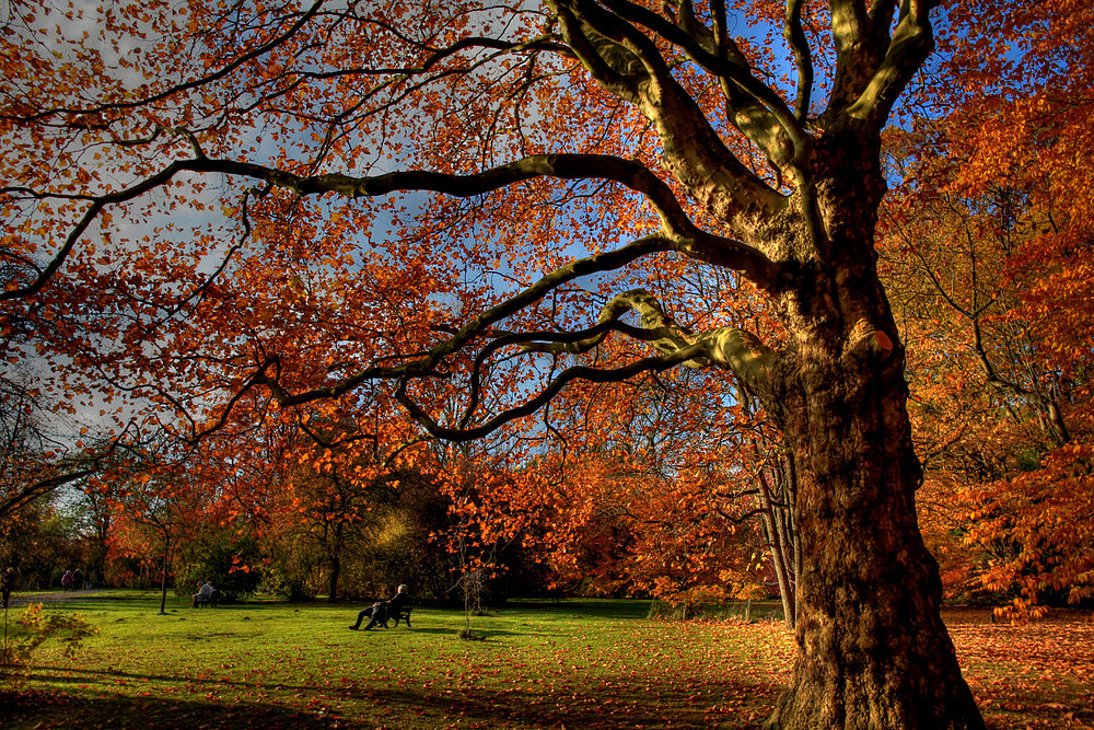 Zeit für den Herbst