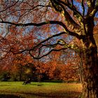 Zeit für den Herbst