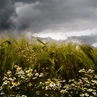 Zeit für den Regenschirm