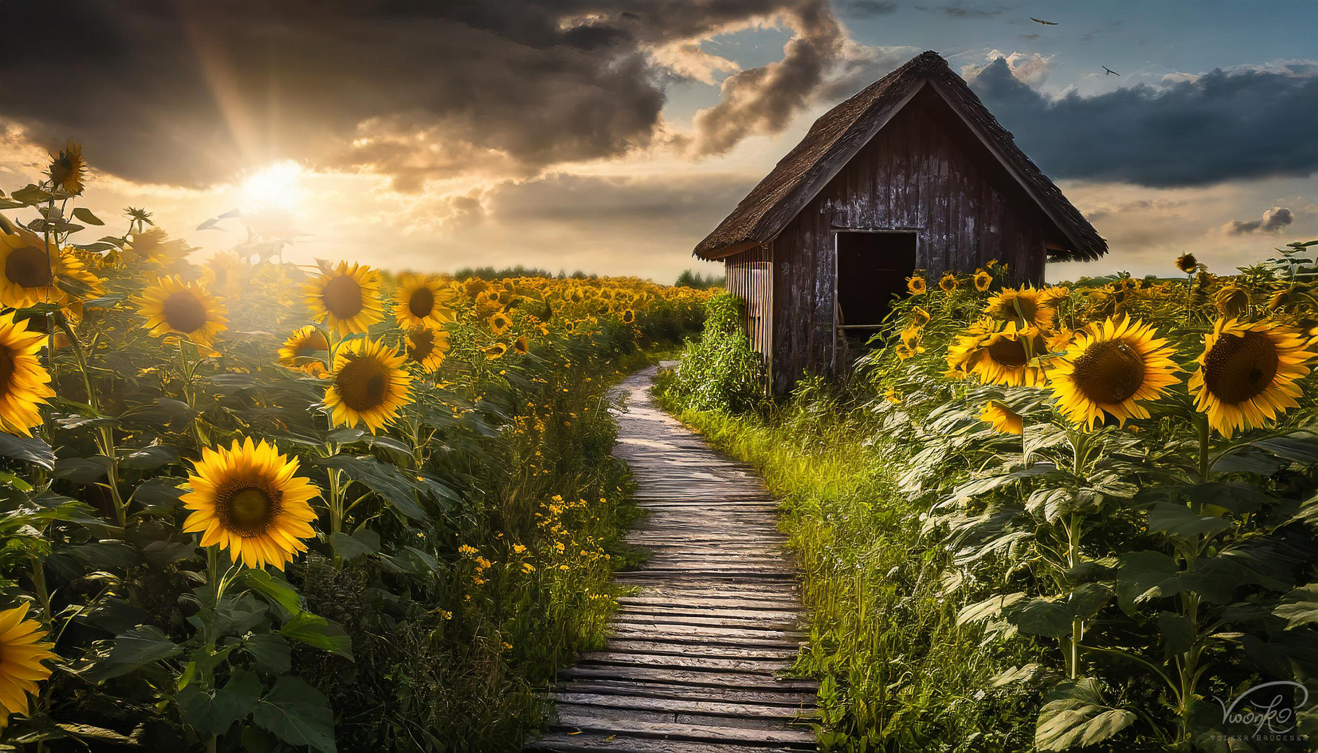 Zeit für den Sommer