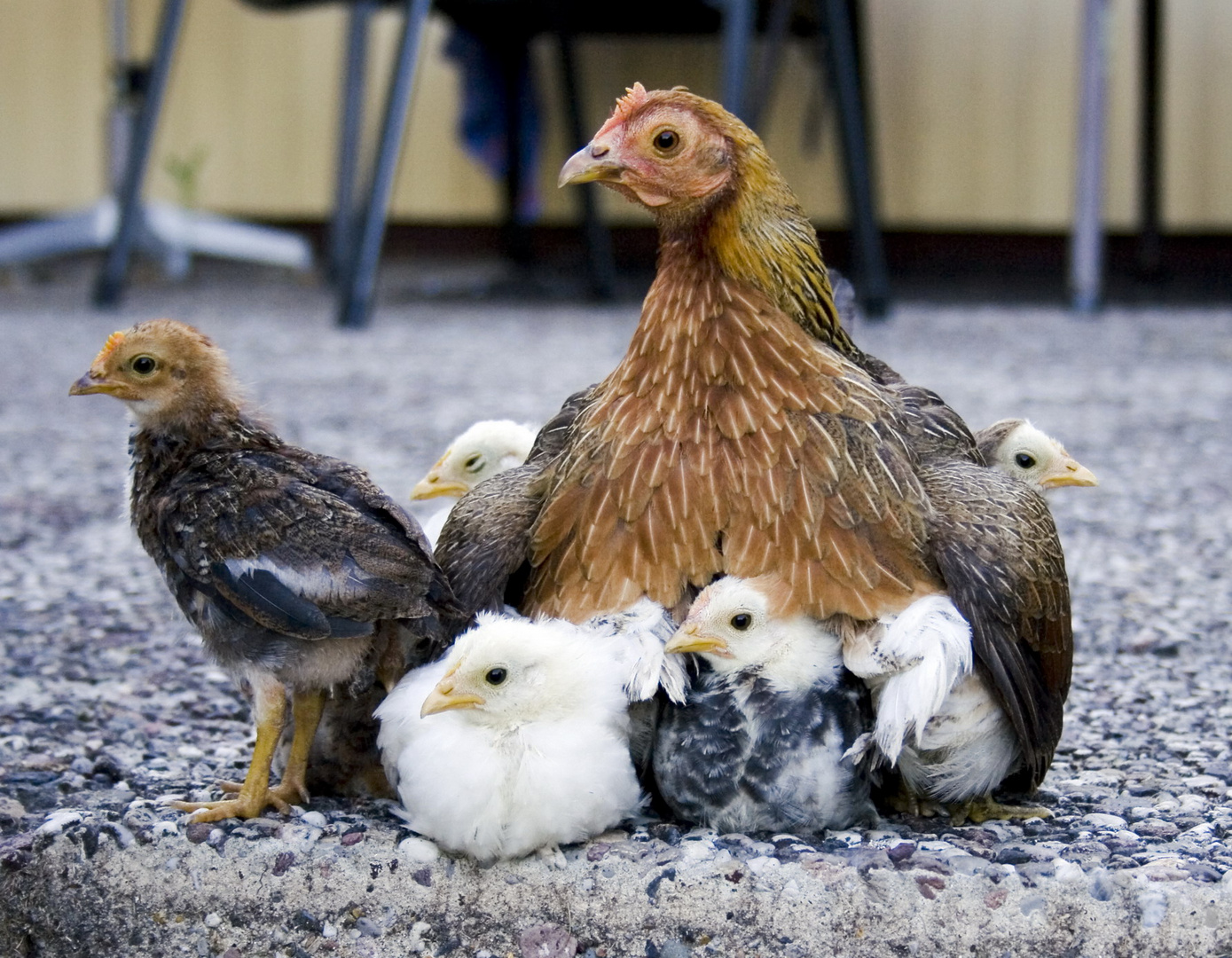 Zeit für die Familie!