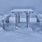 Zeit für ein Picknick 