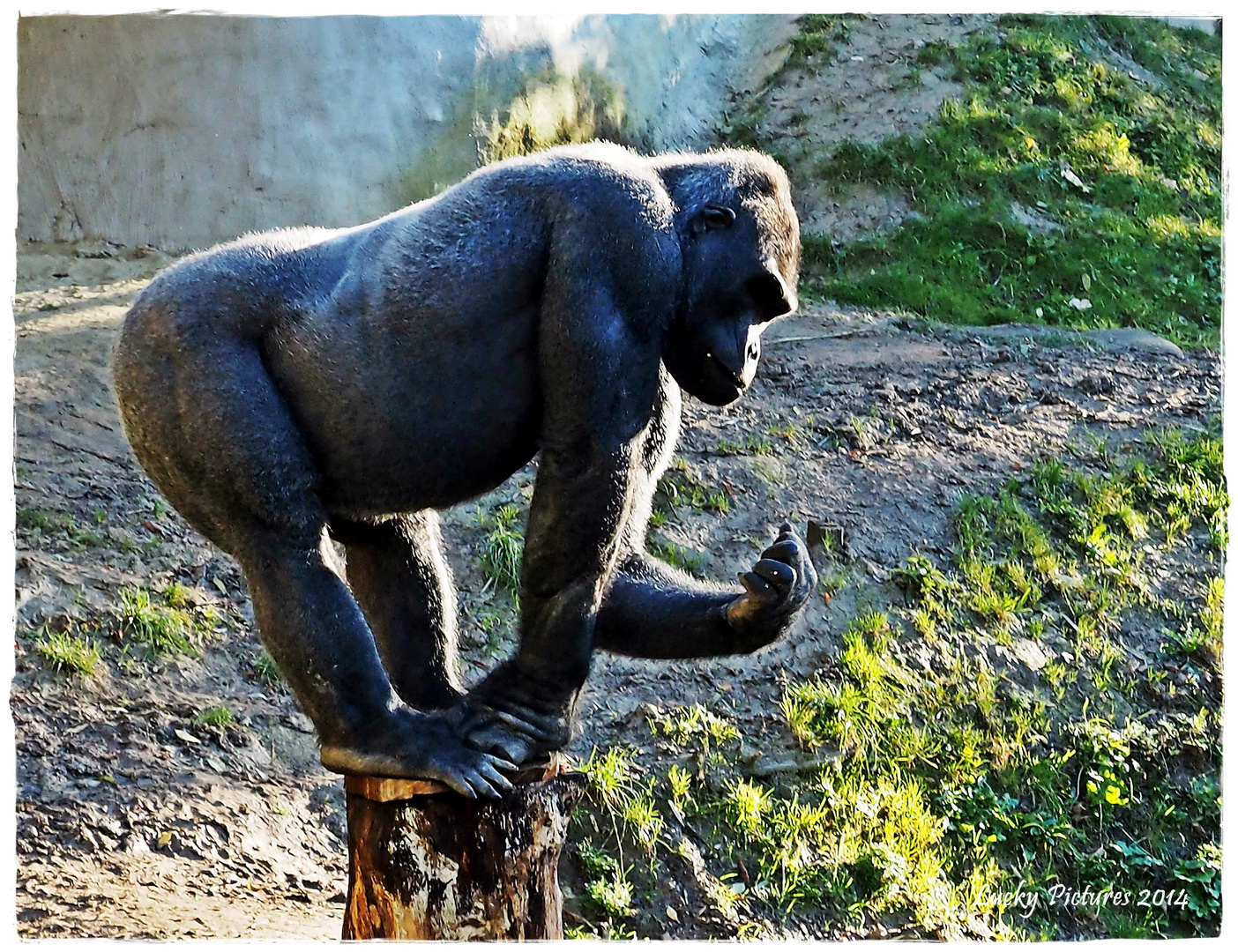 Zeit für eine Maniküre - at the ZoO