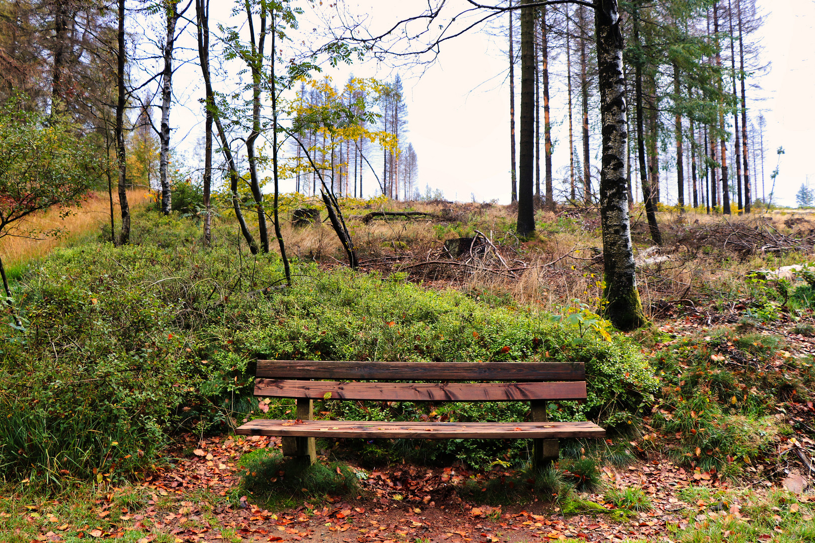 Zeit für eine Pause