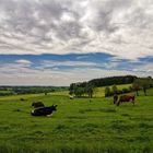 Zeit für eine Pause