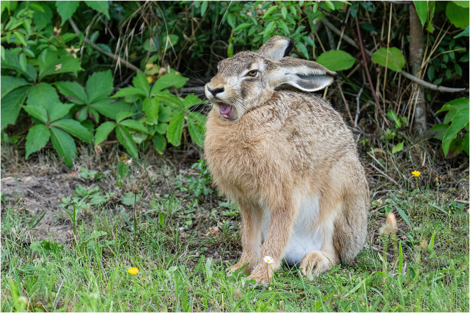 Zeit für`s Sandmännchen..