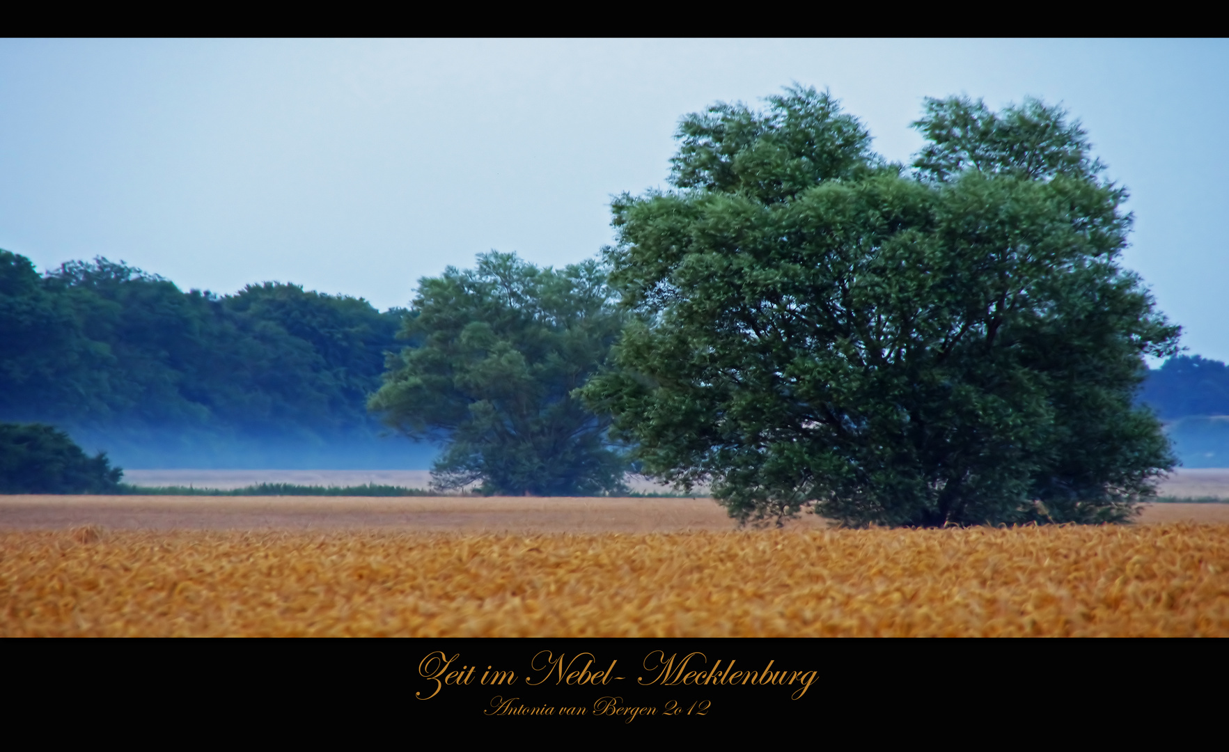 Zeit im Nebel- Mecklenburg