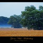 Zeit im Nebel- Mecklenburg