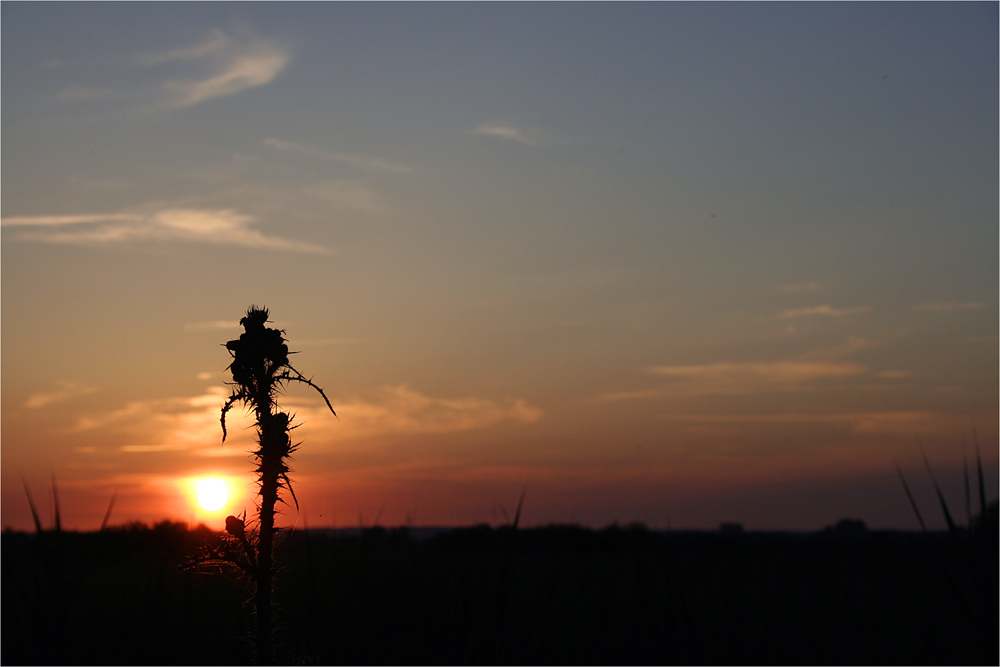 Zeit im Wind