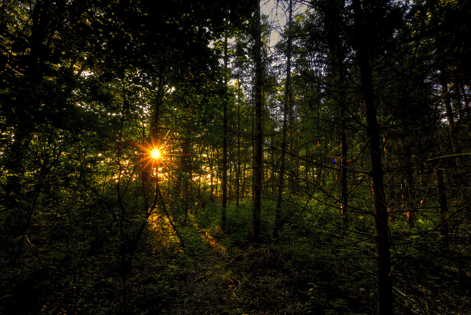 Zeit, nach Hause zu gehen. Foto & Bild | landschaft ...