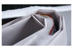 ZEIT-tungs-SCHNEE