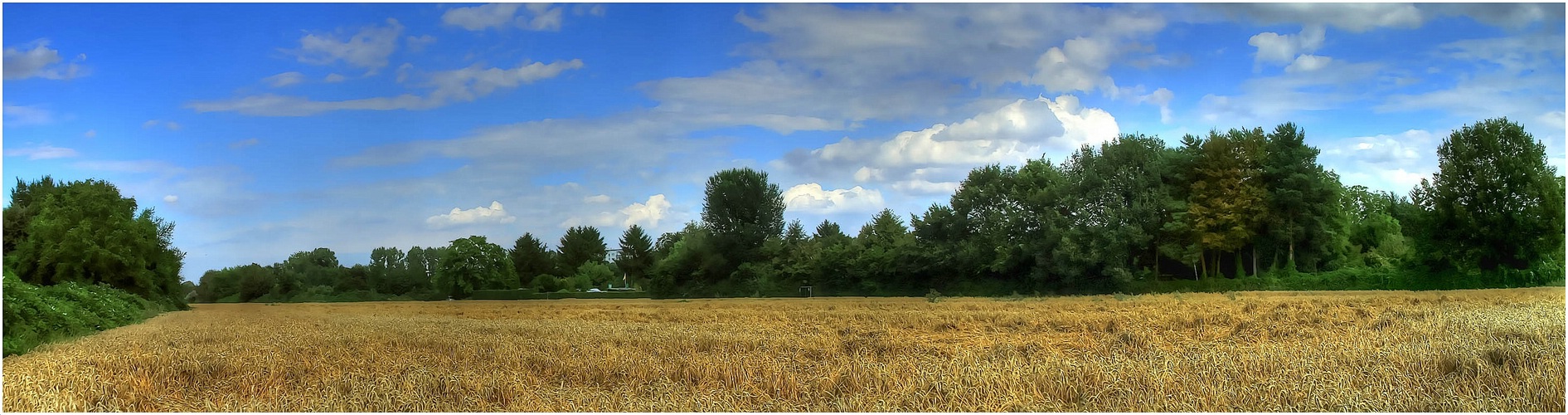 Zeit zu ernten