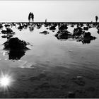 Zeit zu zweit im Watt...