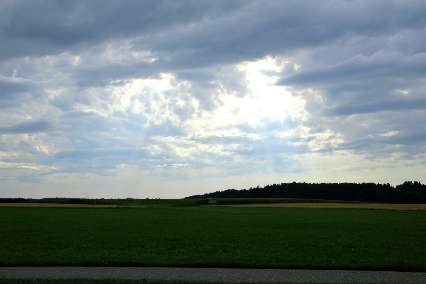 Zeit zum Ernten