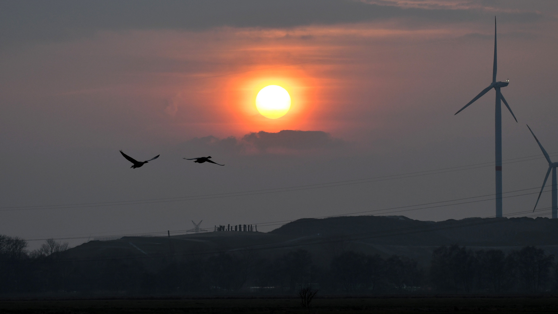 Zeit zum Heimflug...