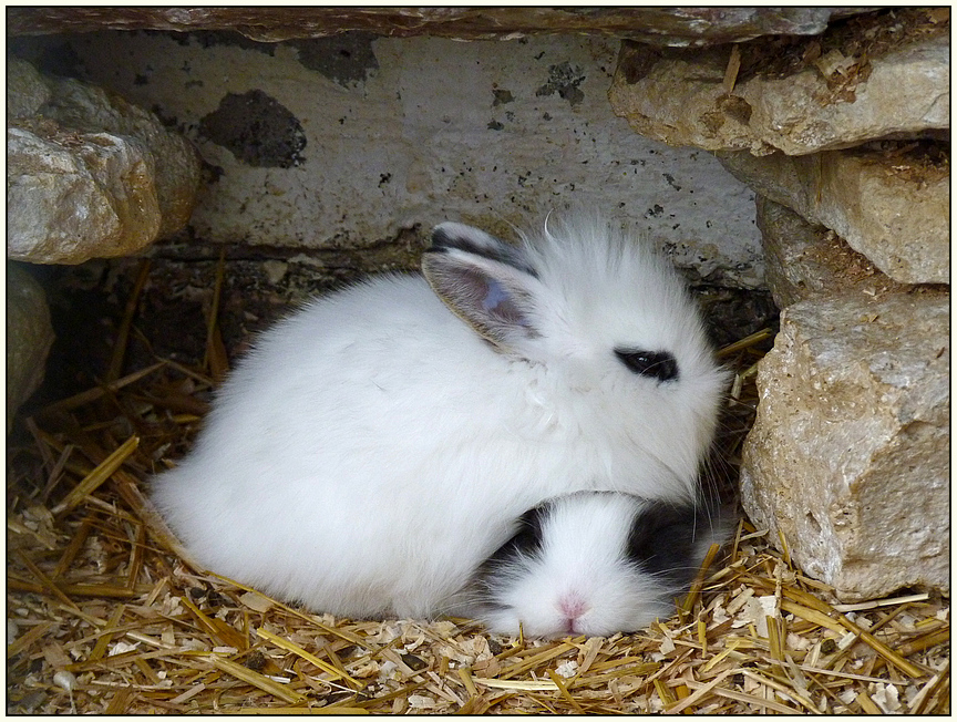 Zeit zum Kuscheln