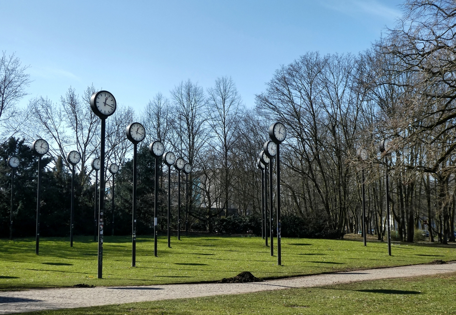 Zeitfeld im Volksgarten Düsseldorf 