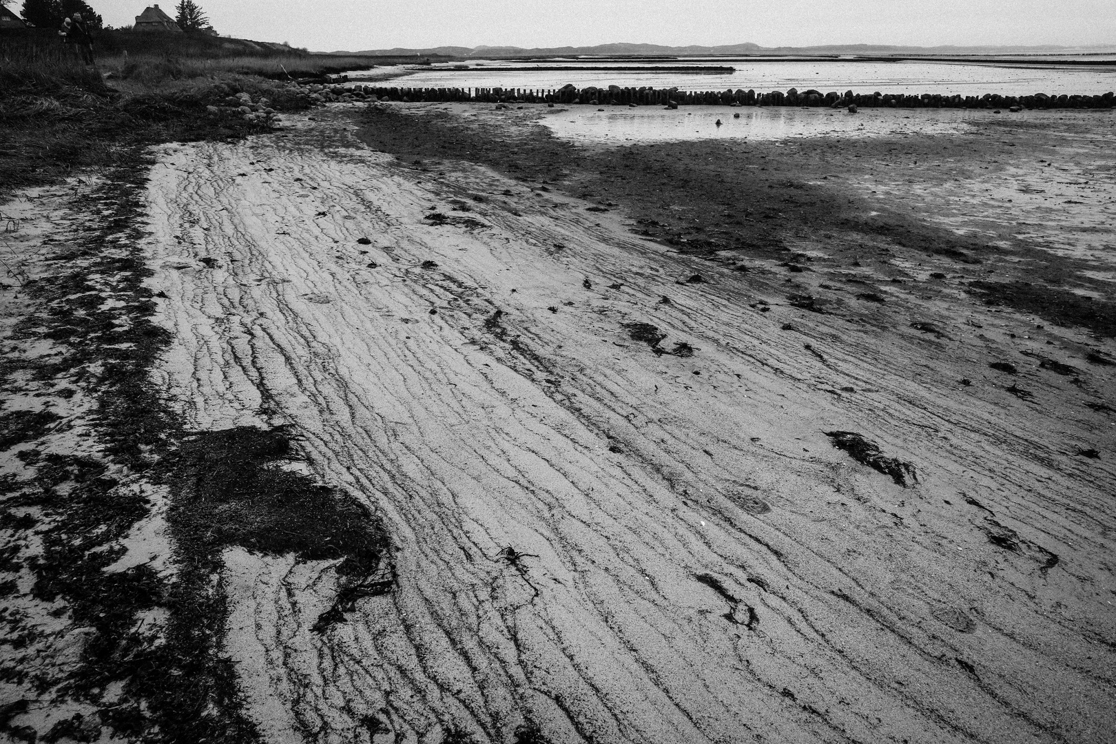 Zeitlinien am Bodden-Sylt