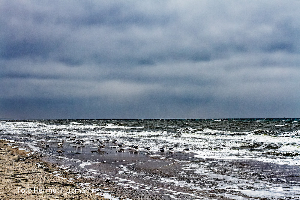 ZEITLOS AM MEER