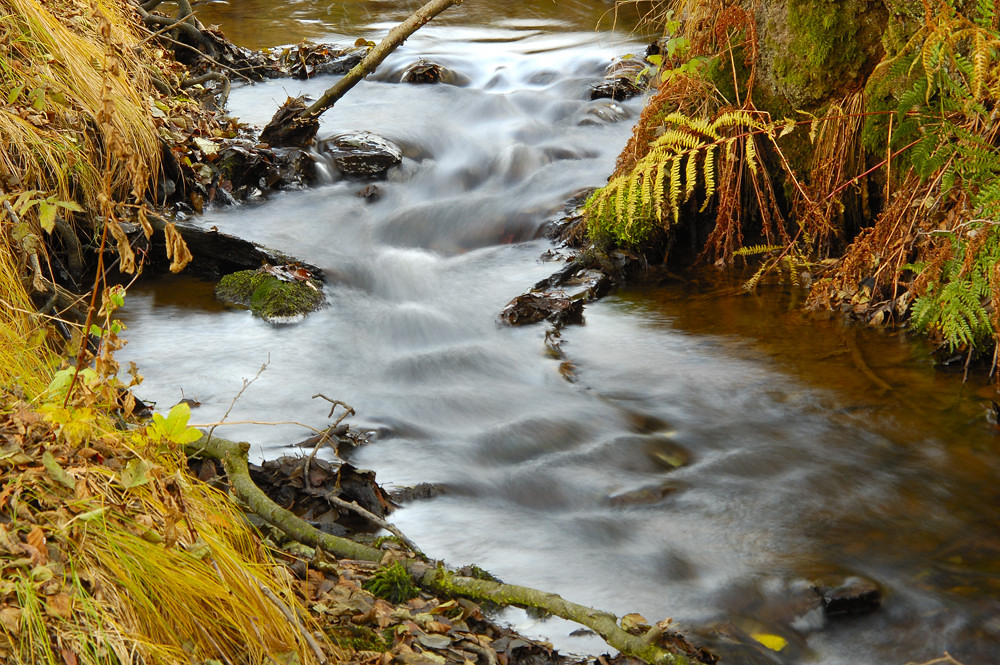 Zeitloser Herbst