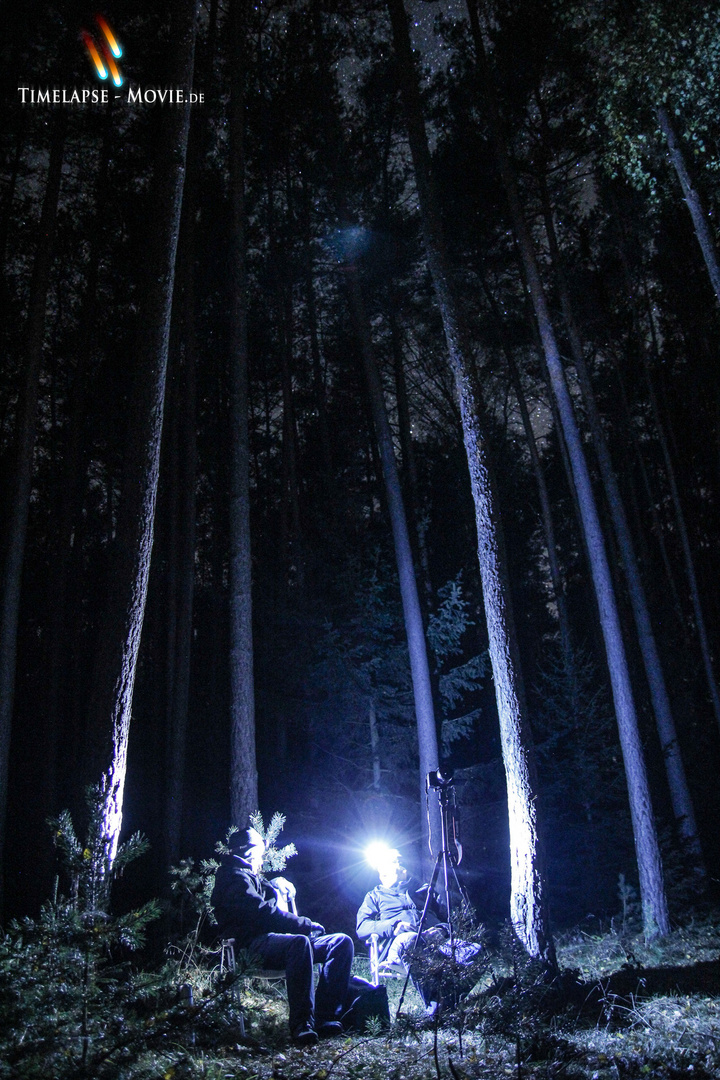 Zeitraffer im Wald bei sternenklarem Himmel