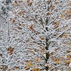 Zeitumstellung von Sommerzeit auf Winterzeit