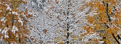 Zeitumstellung von Sommerzeit auf Winterzeit