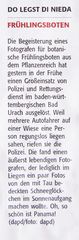 Zeitung