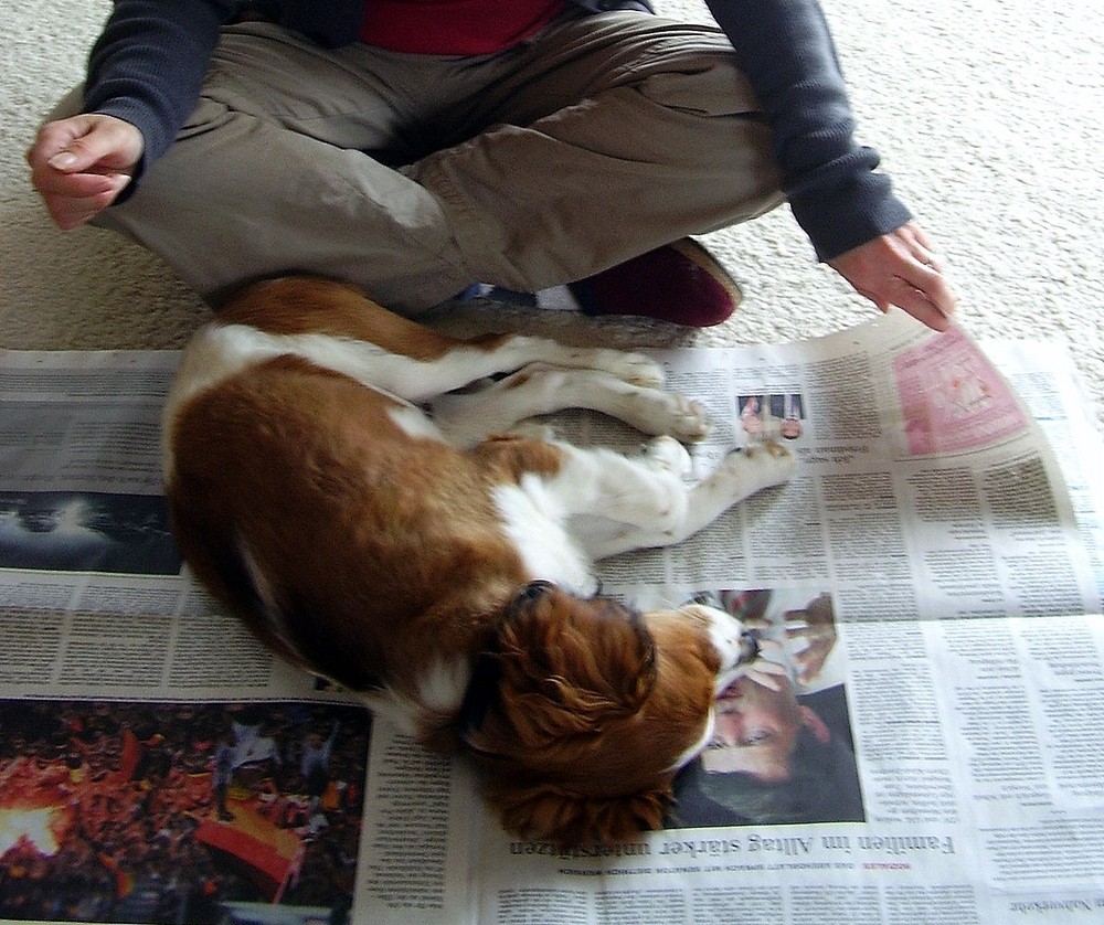 Zeitung lesen ist langweilig