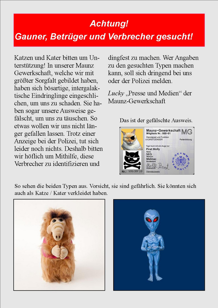 Zeitungsartikel 