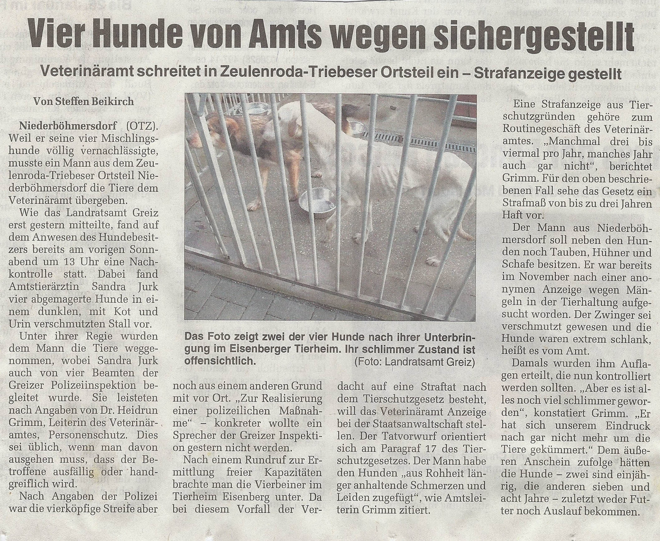 Zeitungsartikel