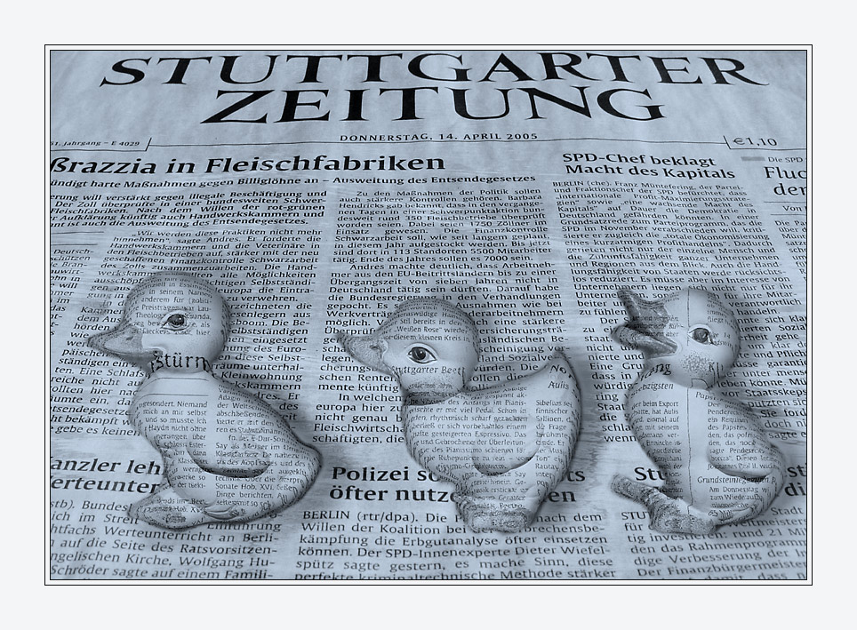 Zeitungsenten