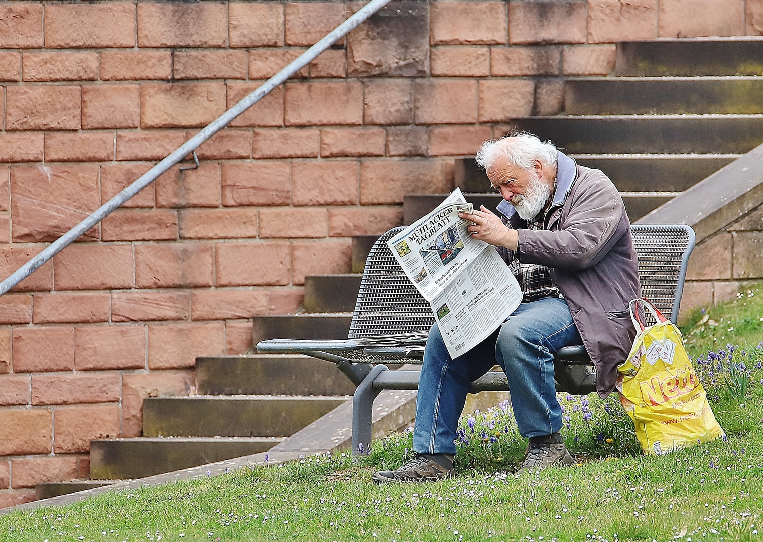 Zeitungsleser