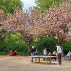 Zeitvertreib im Park