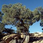 Zeitzeug am Canyon de Chelly