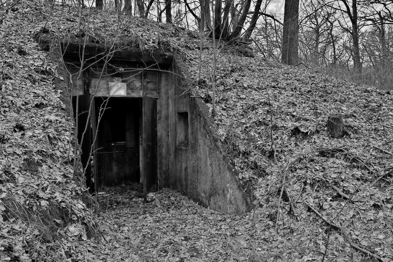 Zeitzeuge Bunker