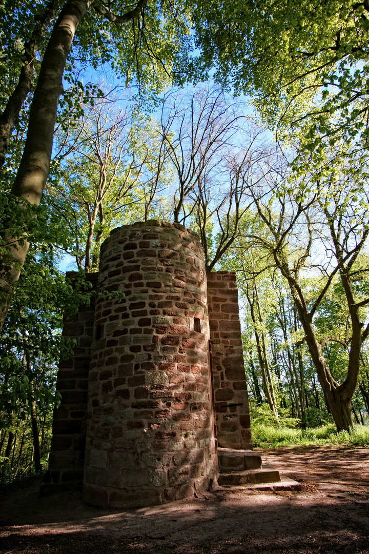 Zeitzeuge von Dazumal - Die Burgruine Rusteberg