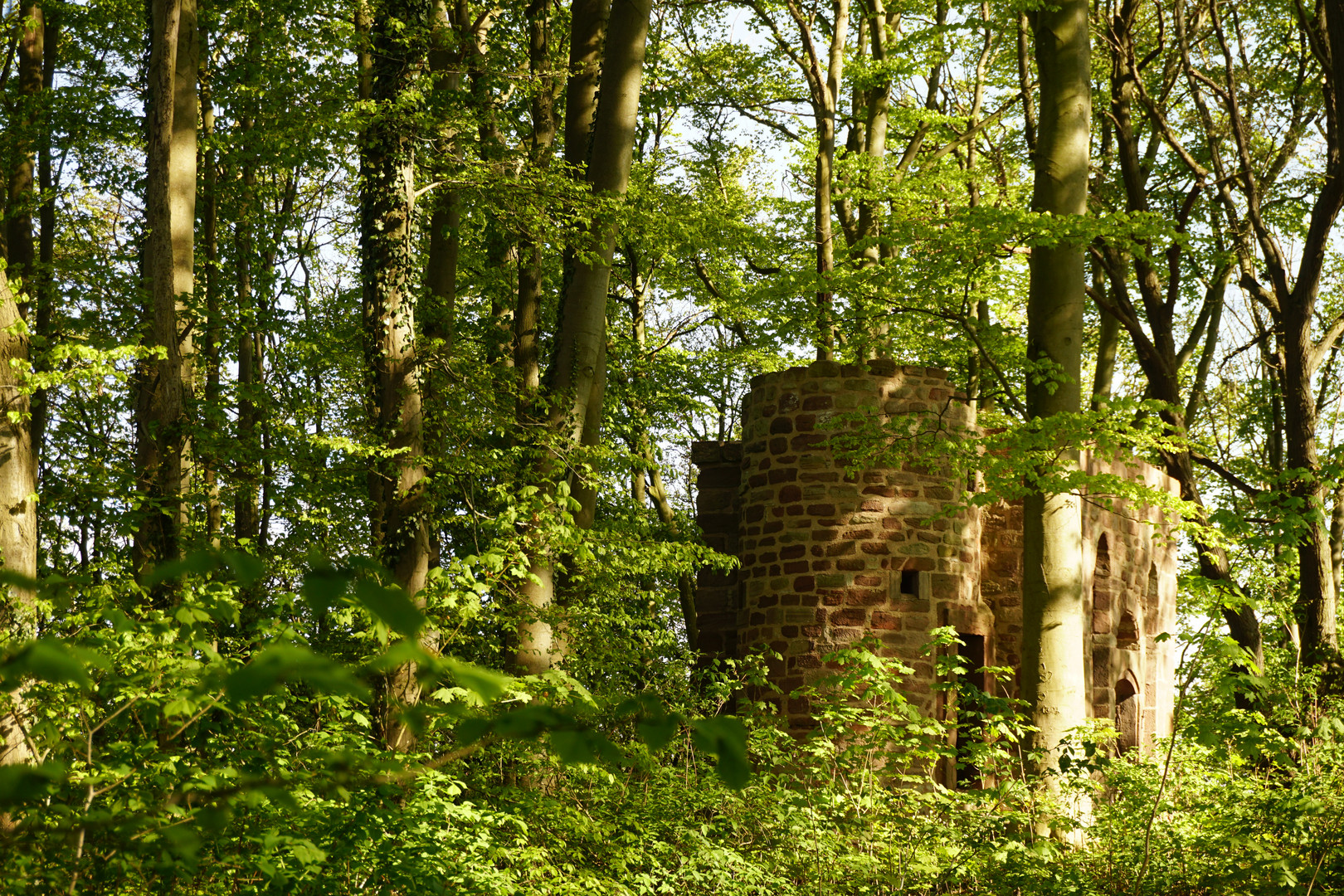 Zeitzeuge von Dazumal - Die Burgruine Rusteberg - Foto 3