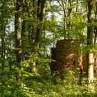 Zeitzeuge von Dazumal - Die Burgruine Rusteberg - Foto 3