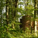 Zeitzeuge von Dazumal - Die Burgruine Rusteberg - Foto 3