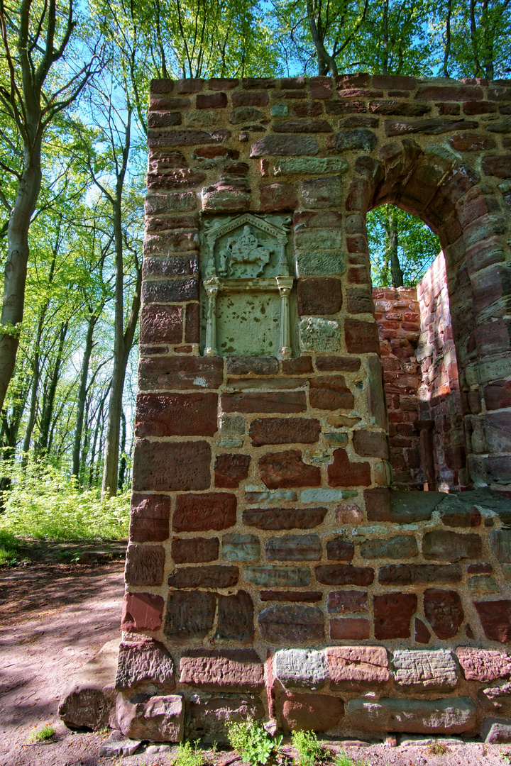 Zeitzeuge von Dazumal - Die Burgruine Rusteberg - Foto 5