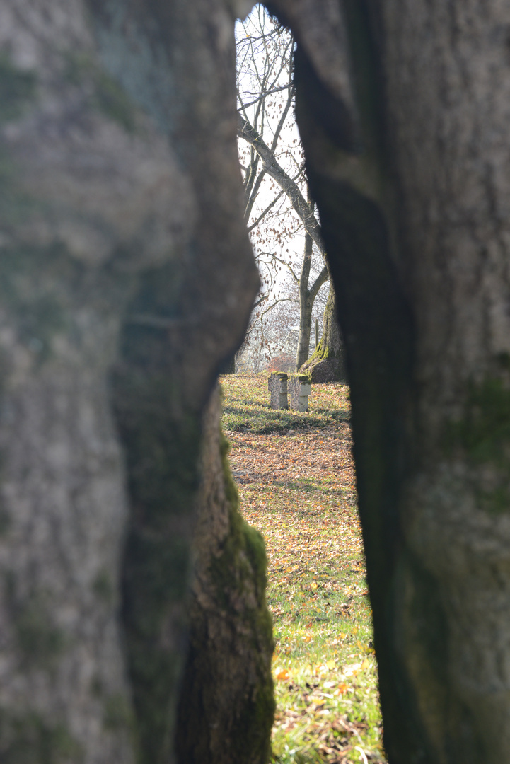 Zeitzeugen im Herbst