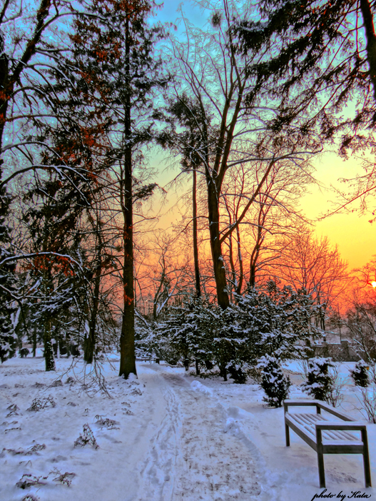 Zelazowa Wola Park