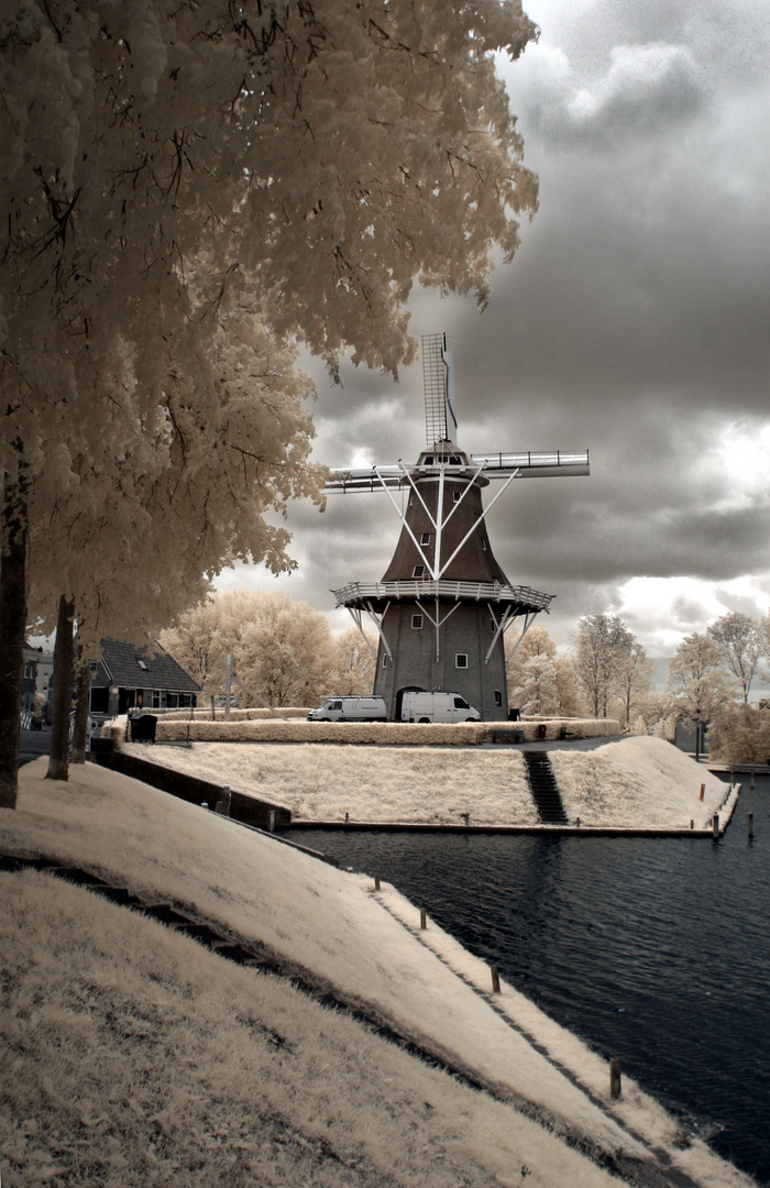 Zeldenrust Windmolen