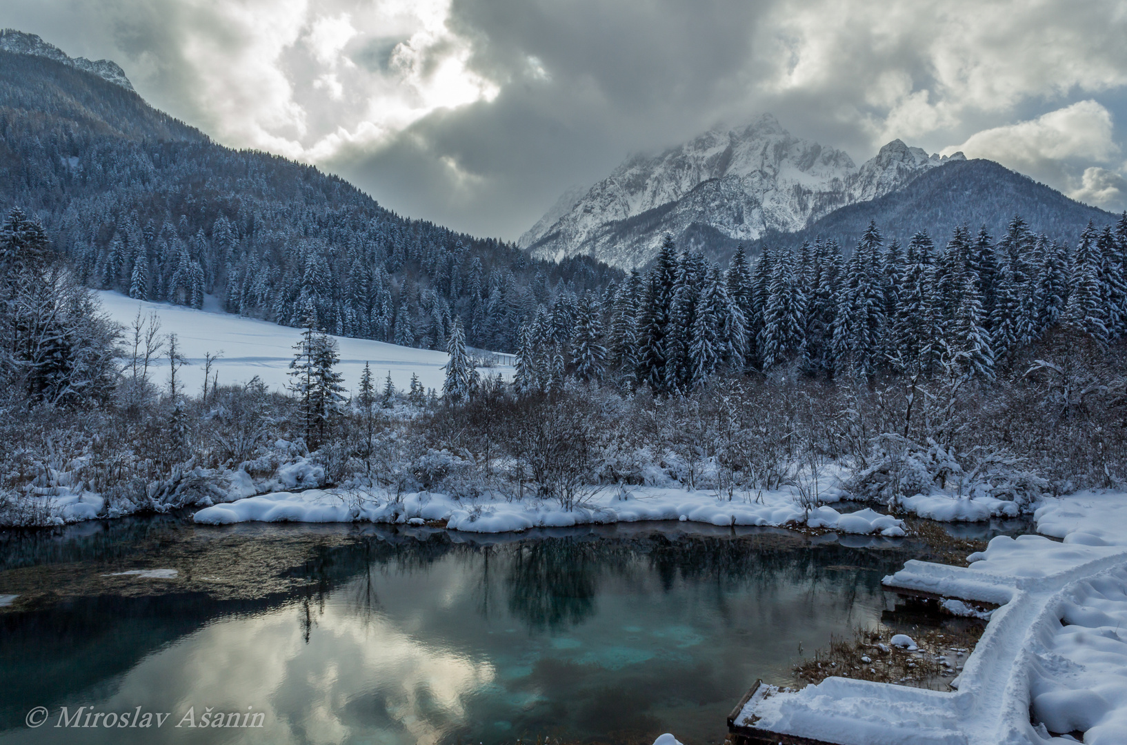 zelenci